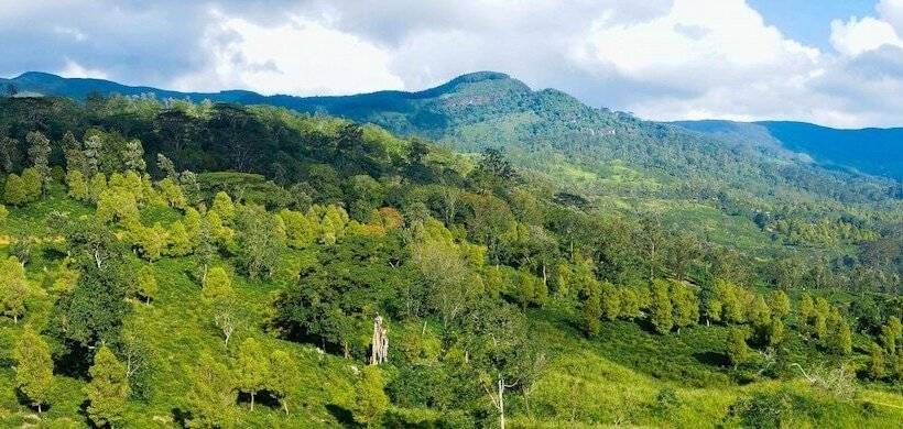 ペンション Ashburnham Estate