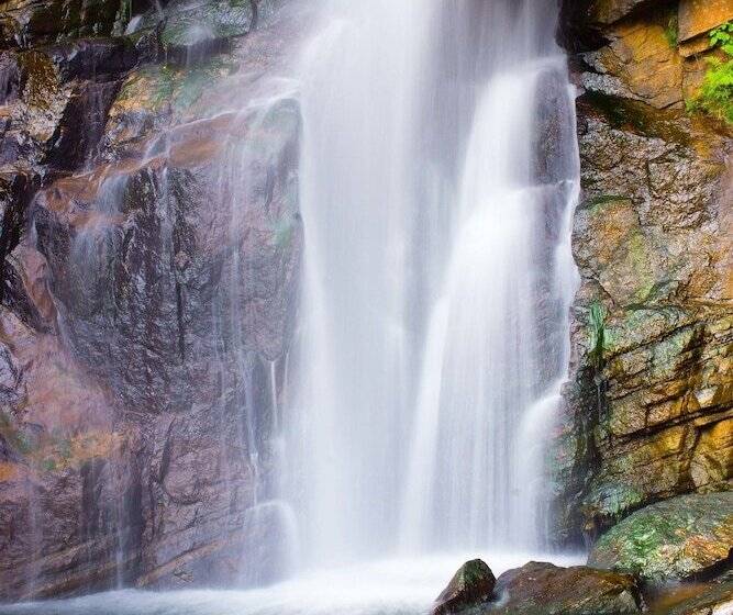 ペンション Ashburnham Estate