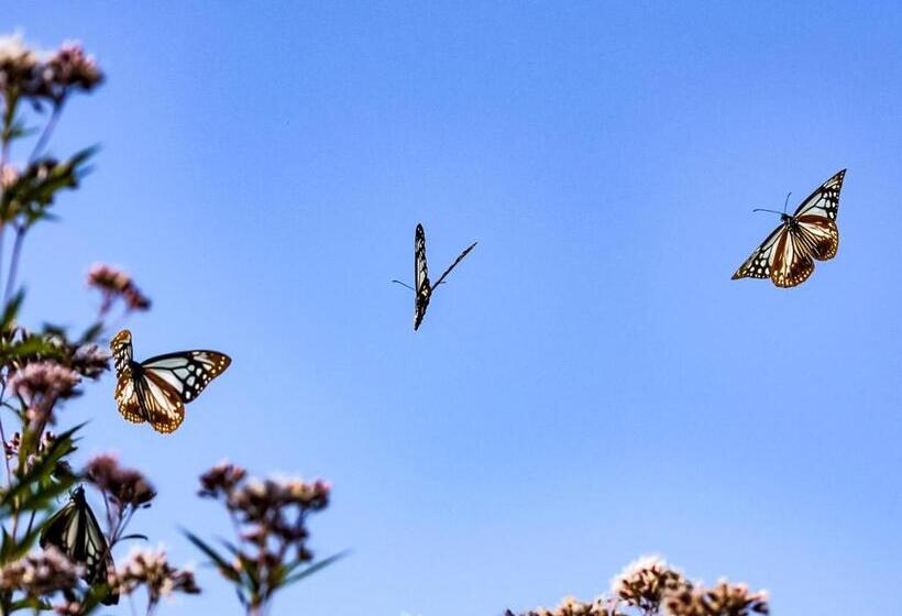 פנסיון Guest Cafe Kuchikumano