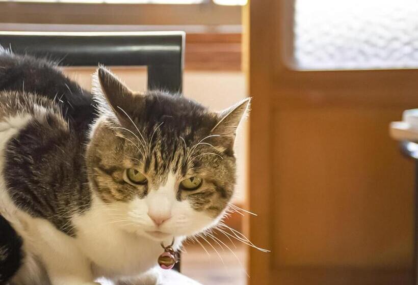 פנסיון Guest Cafe Kuchikumano