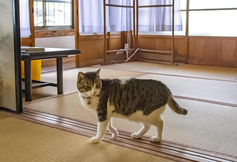 פנסיון Guest Cafe Kuchikumano