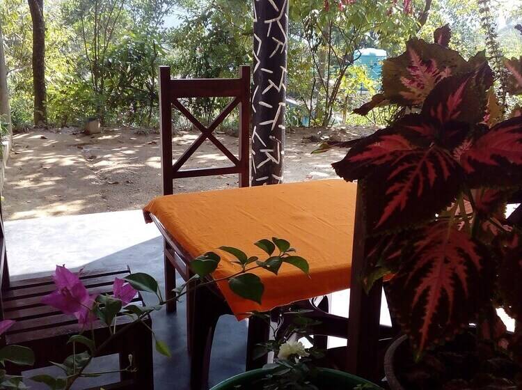 Пансион Lavender Homestay