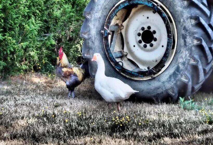 펜션 La Boussieroise