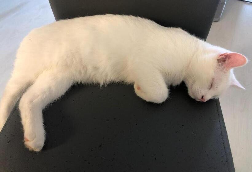 膳宿费 Le Domaine Des Pres