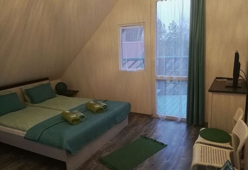 פנסיון Mieta I Woda