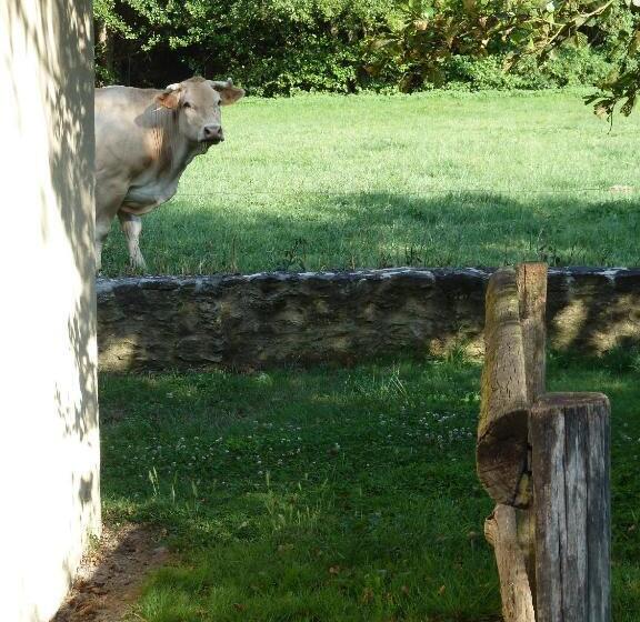 Пансион Le Moulin De Drapras