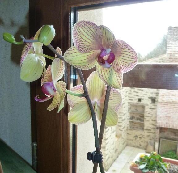 Пансион Le Moulin De Drapras