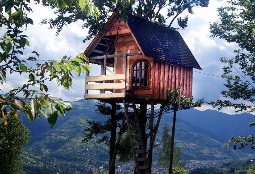 Пансион Rakhiv Plai