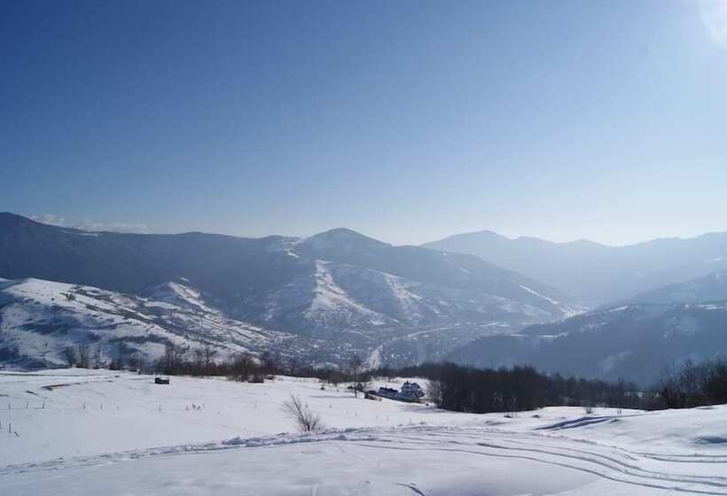 Пансион Rakhiv Plai