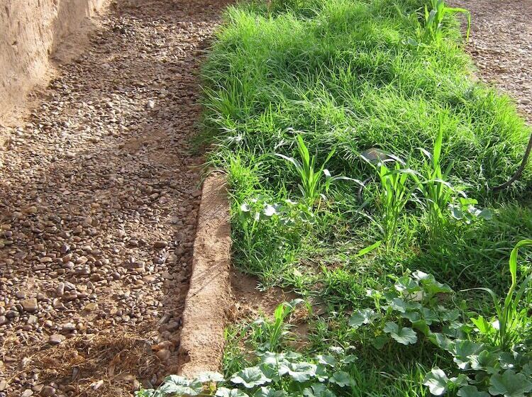 بنسيون Riad Tinfou