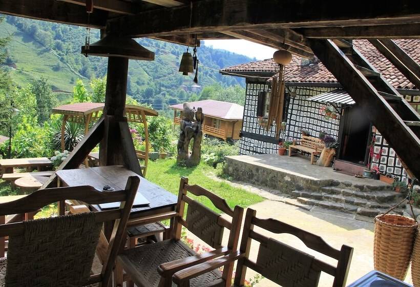 פנסיון Satiroglu Konagi