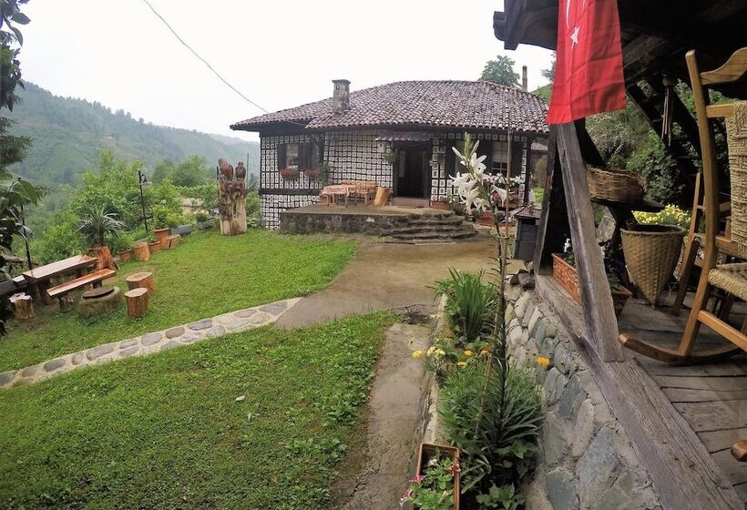 פנסיון Satiroglu Konagi