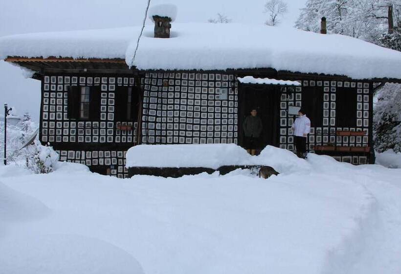 ペンション Satiroglu Konagi