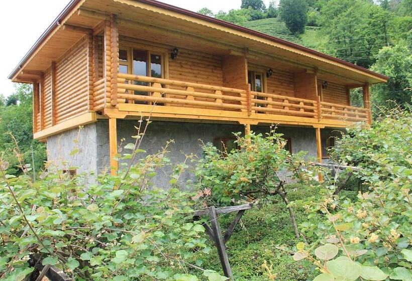 פנסיון Satiroglu Konagi