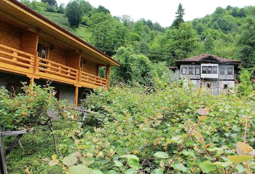 ペンション Satiroglu Konagi