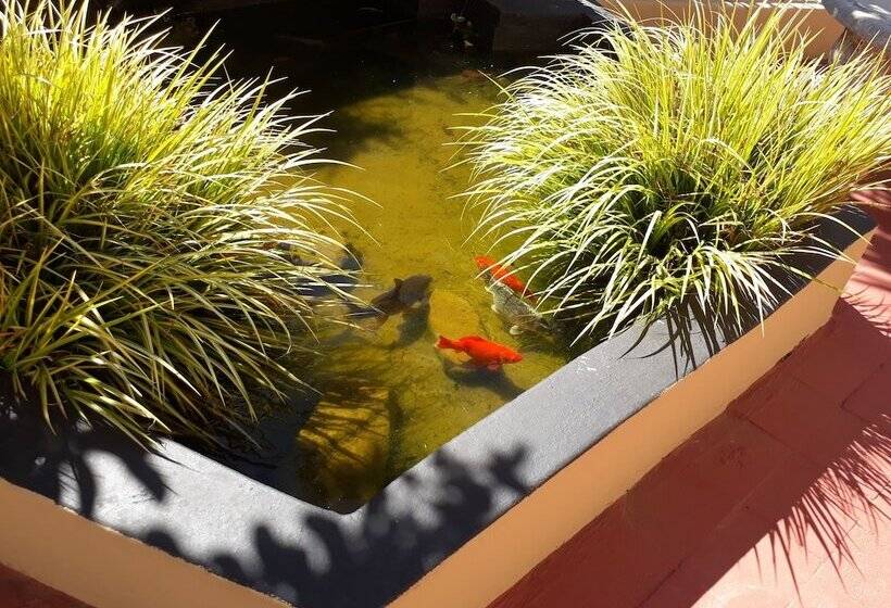 פנסיון The Guest House Standerton