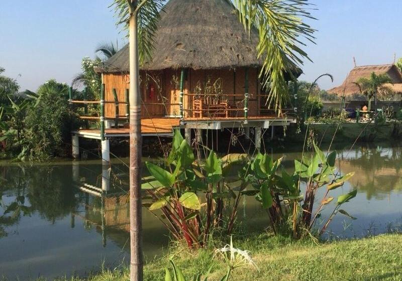 بنسيون The Orchid Resort & Relax