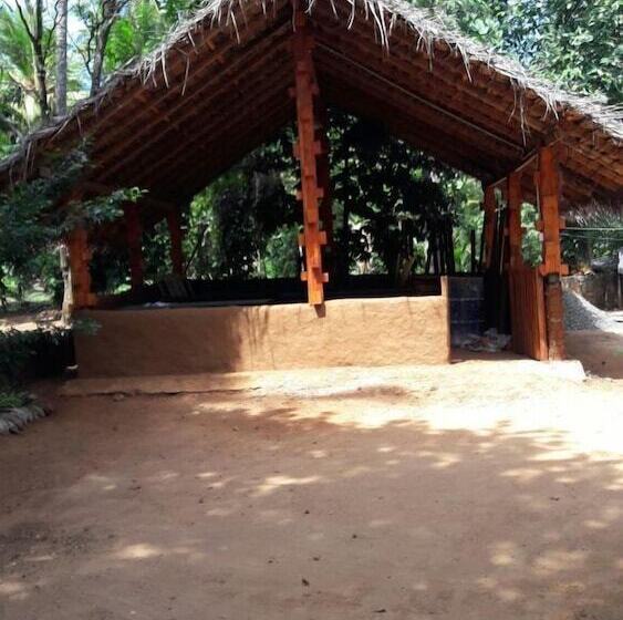 بنسيون The Tree