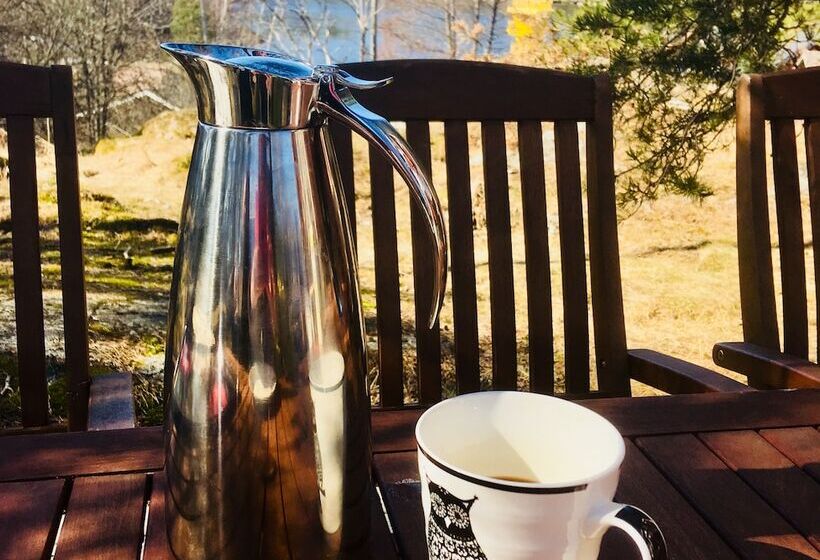 膳宿费 Villa Sofia