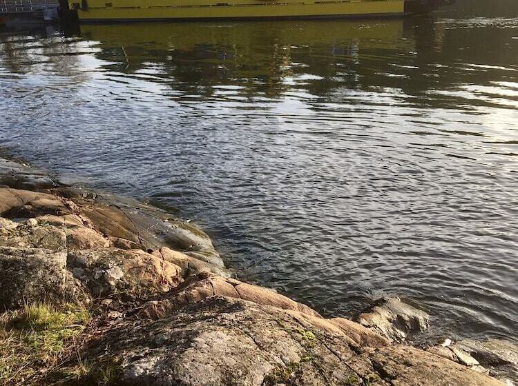 膳宿费 Villa Sofia