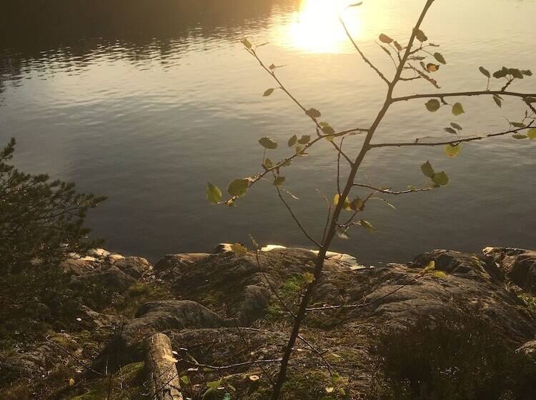 膳宿费 Villa Sofia