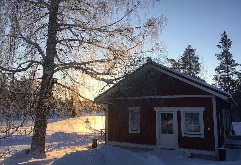 膳宿费 Villa Sofia