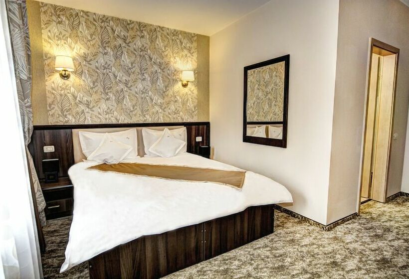 Pensiunea Poiana Viselor