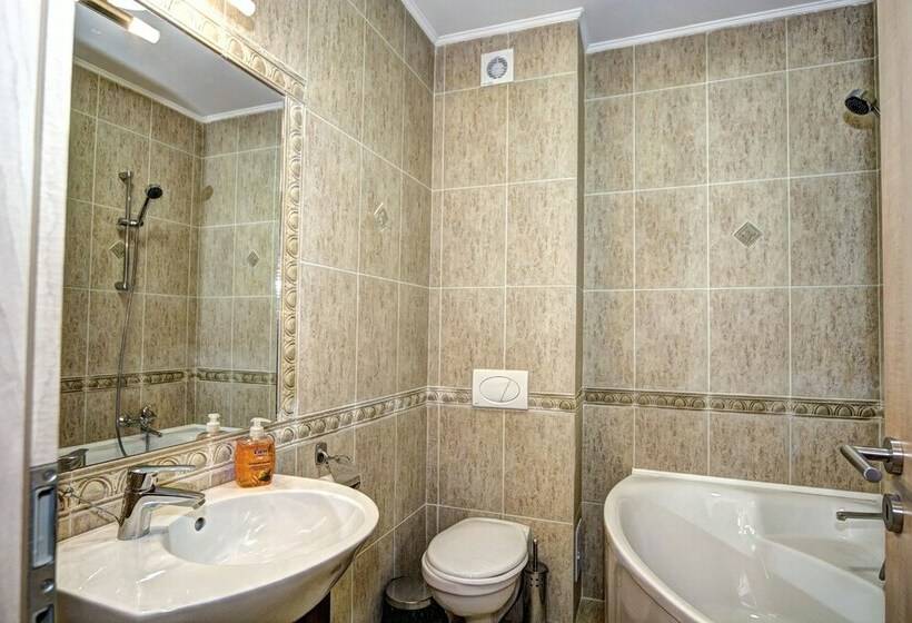 Pensiunea Poiana Viselor