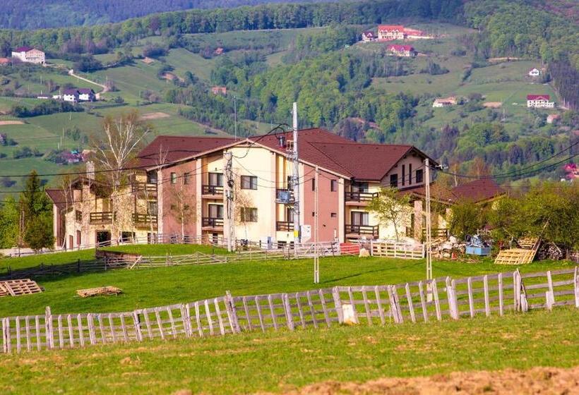 Pensiunea Poiana Viselor