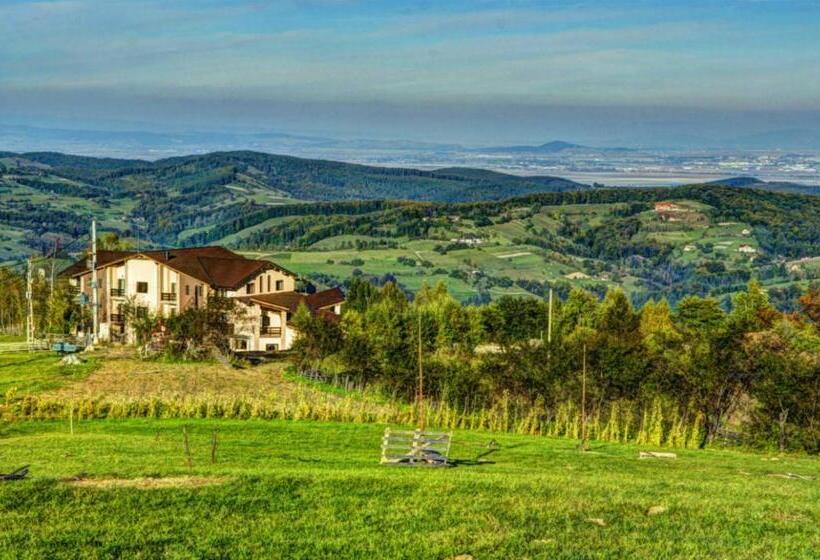 Pensiunea Poiana Viselor