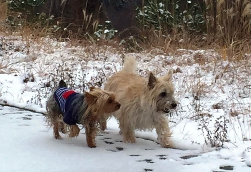 Petit Hotel Paddington House