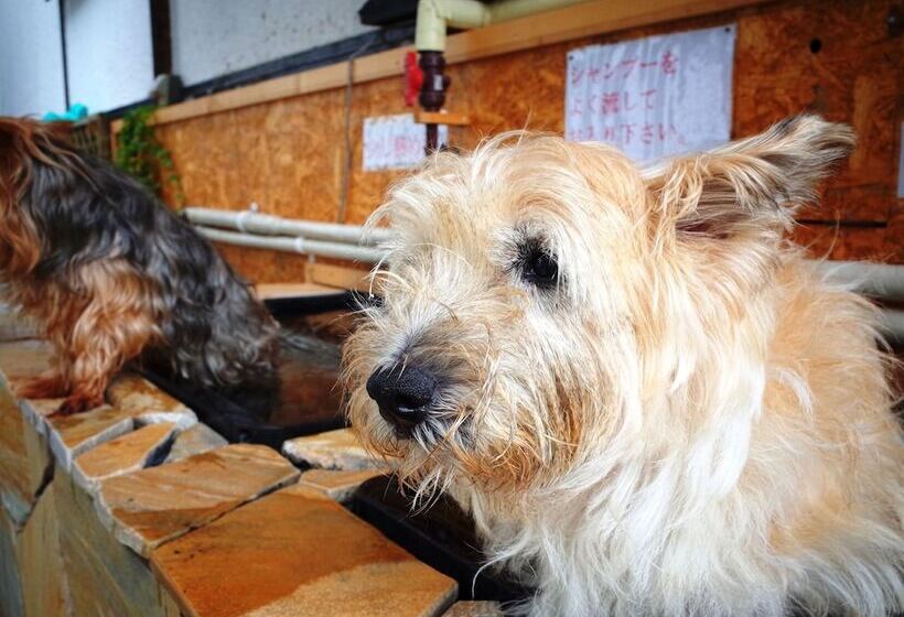 Petit Hotel Paddington House