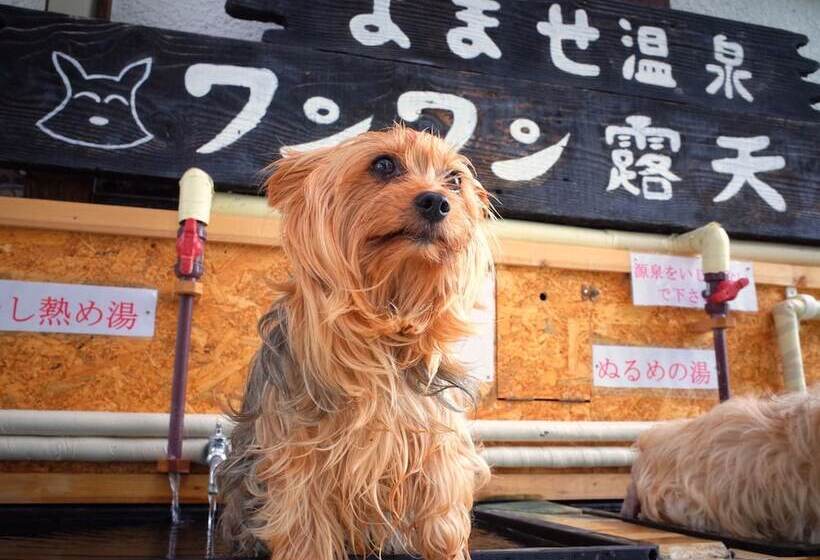 Petit Hotel Paddington House