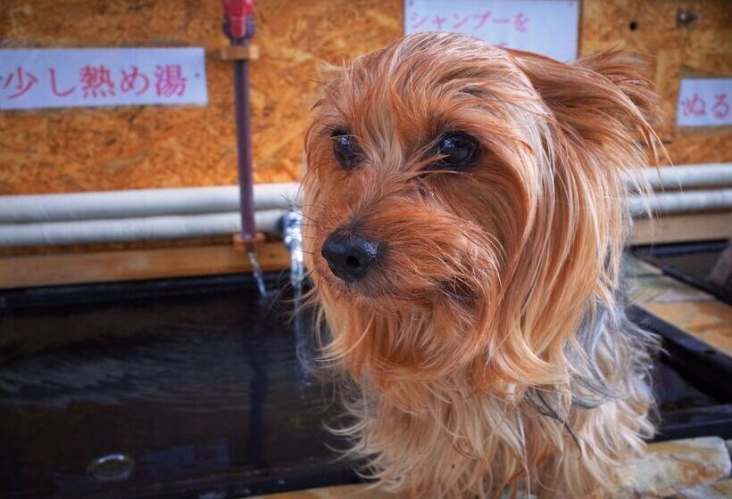 Petit Hotel Paddington House