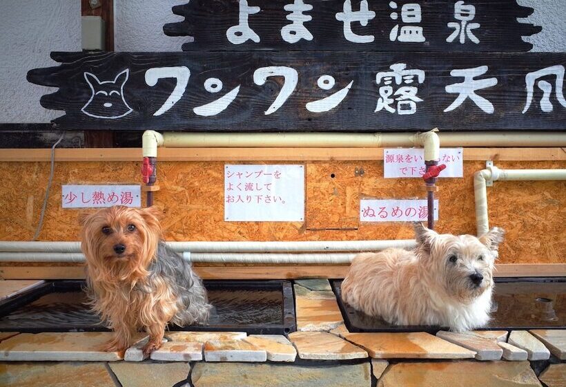 Petit Hotel Paddington House