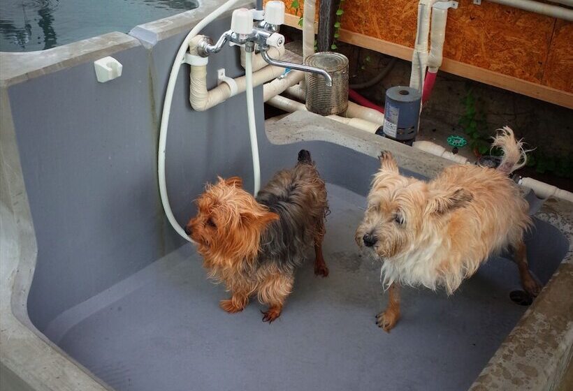 Petit Hotel Paddington House