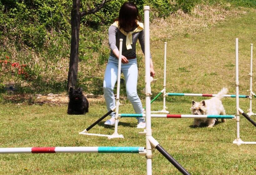 Petit Hotel Paddington House