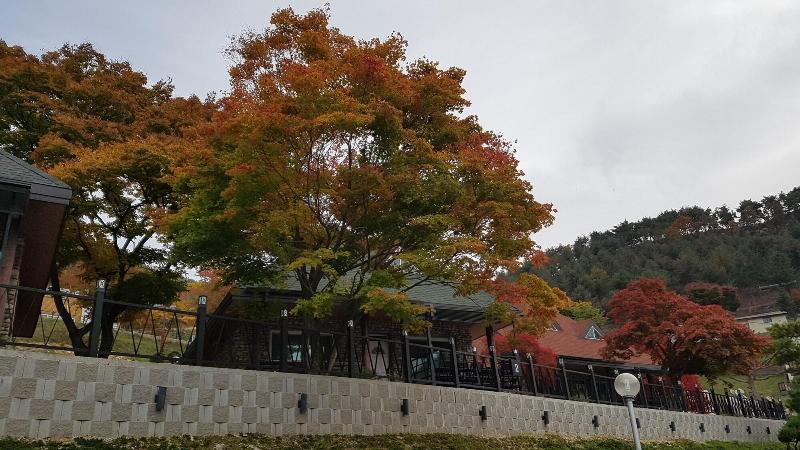 리조트 Nine Valley Park