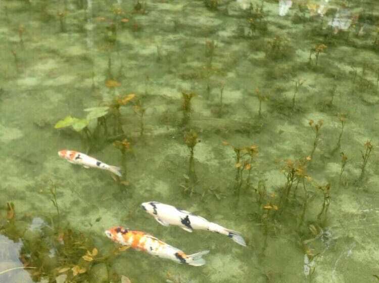 ريوكان Machiya Hotel Oyado Baison