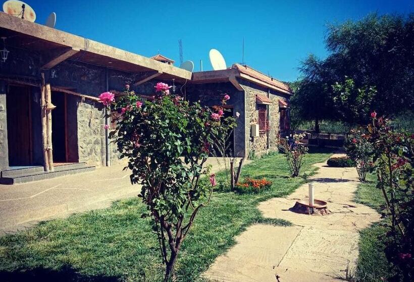 هاستل Tamanoucht Auberge