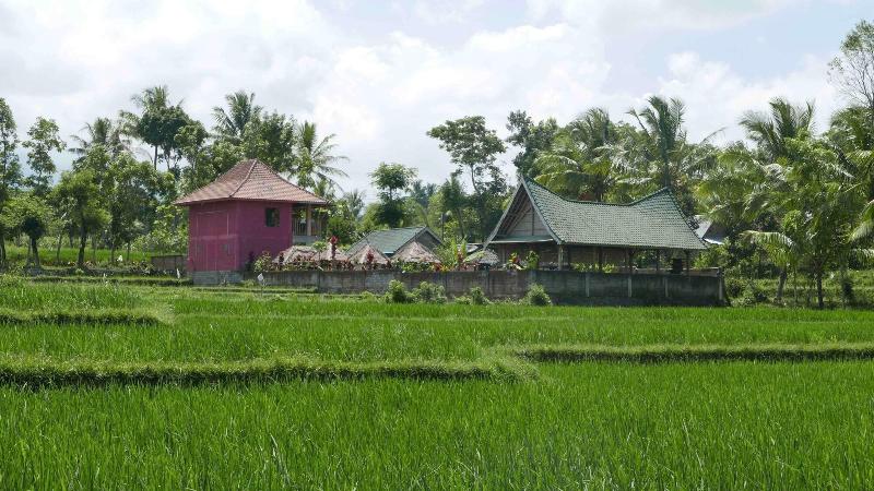 مبيت وإفطار Cahaya Tetebatu Inn
