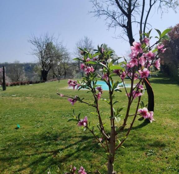 ベッドアンドブレックファースト Casa Felmar