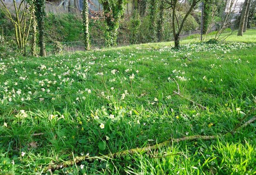 住宿加早餐 Chambre D Hôtes La Roncellière