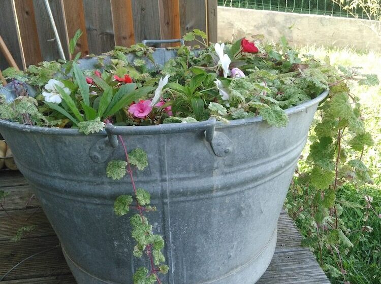 Bed and Breakfast Chambres D Hotes Souffle Nature