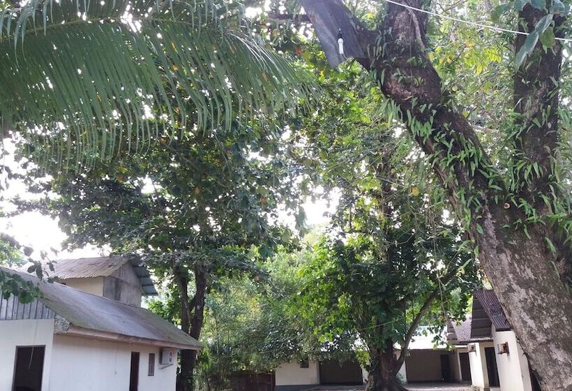 ベッドアンドブレックファースト Holiday Bir