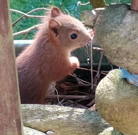 Bed and Breakfast La Chaussee D Olivet En Mayenne