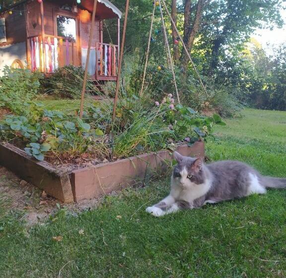 Bed and Breakfast La Chaussee D Olivet En Mayenne