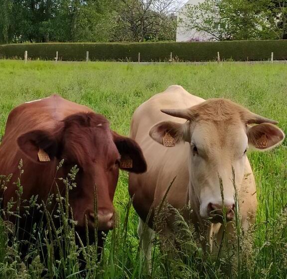 Bed and Breakfast La Chaussee D Olivet En Mayenne