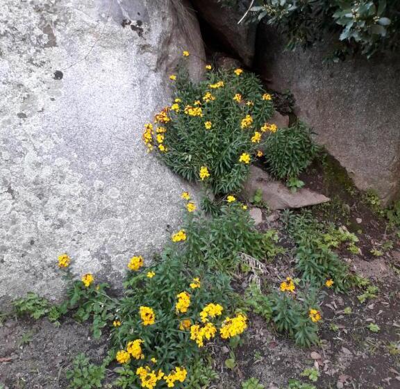 住宿加早餐  La Collina Dei Ciliegi