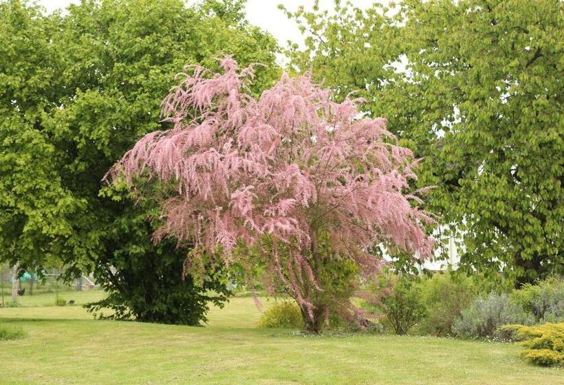 צימר Les Reves De Flamboin